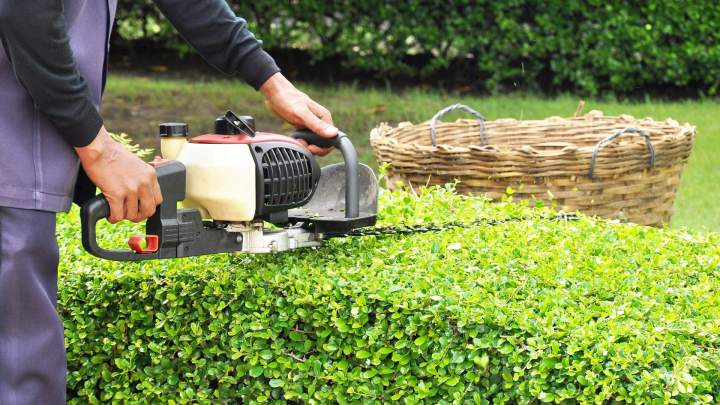 Entretien espace vert Saint-Pourçain-sur-Sioule