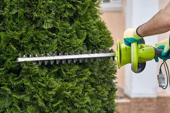 Entretien espace vert Saint-Pourçain-sur-Sioule